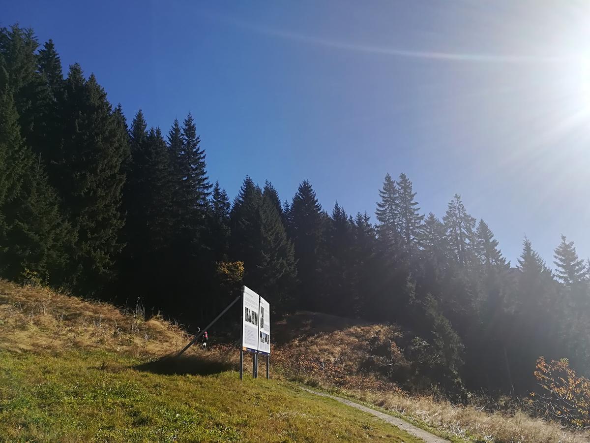 Wohlfühlpension Tirolerhof Partenen Exterior foto